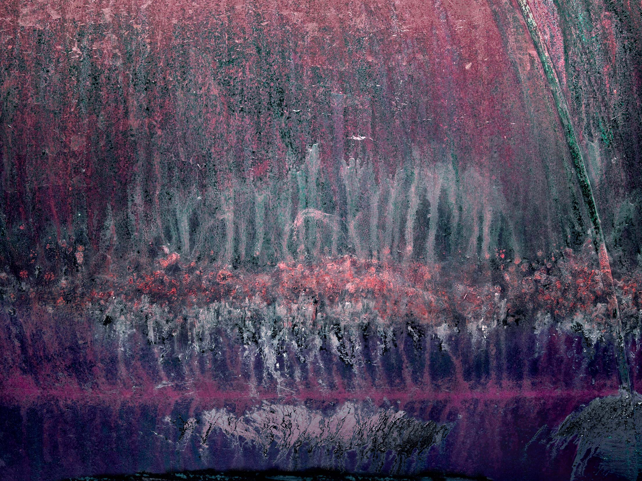 purple-roots-pink-flowers-slatkoff